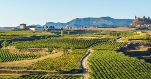 Image of Spanish Wine Country 